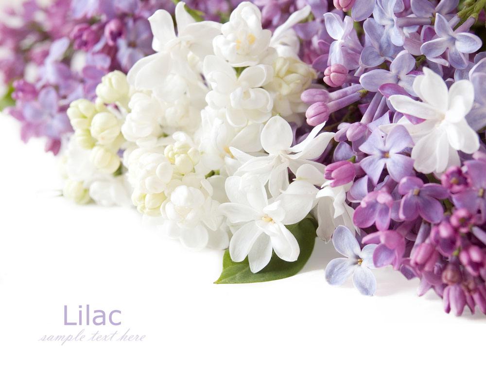 喜訊！2017七夕節(jié)的一份中標(biāo)通知書