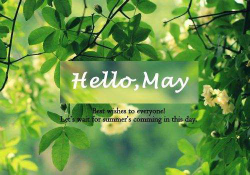 江蘇江河&lsquo;&rsquo;