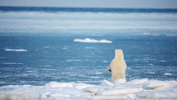未來50年能源系統(tǒng)格局將大變，江蘇江河順應(yīng)時局，生態(tài)發(fā)展！